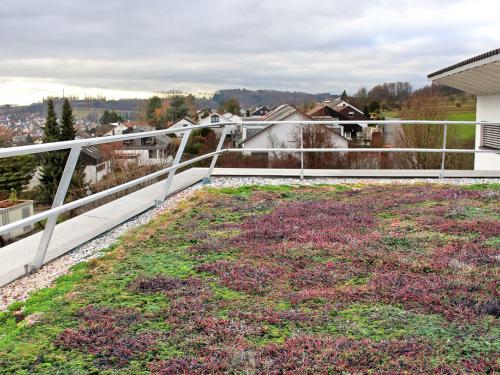 Vegetated roof with railing